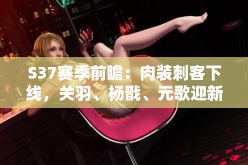 S37赛季前瞻：肉装刺客下线，关羽、杨戬、元歌迎新局面