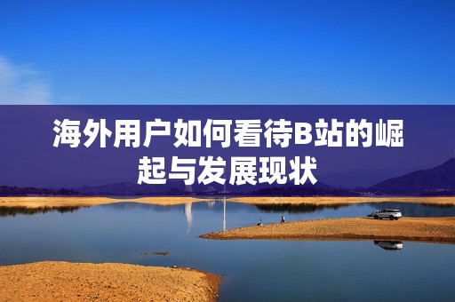 海外用户如何看待B站的崛起与发展现状