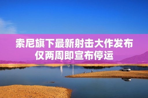 索尼旗下最新射击大作发布仅两周即宣布停运