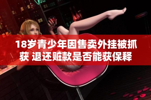 18岁青少年因售卖外挂被抓获 退还赃款是否能获保释
