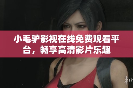 小毛驴影视在线免费观看平台，畅享高清影片乐趣