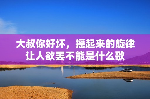 大叔你好坏，摇起来的旋律让人欲罢不能是什么歌