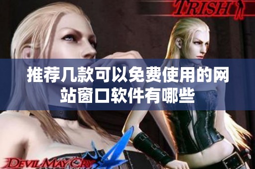 推荐几款可以免费使用的网站窗口软件有哪些