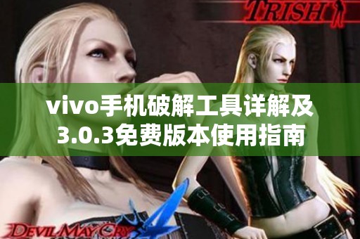 vivo手机破解工具详解及3.0.3免费版本使用指南