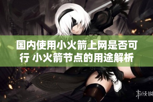 国内使用小火箭上网是否可行 小火箭节点的用途解析