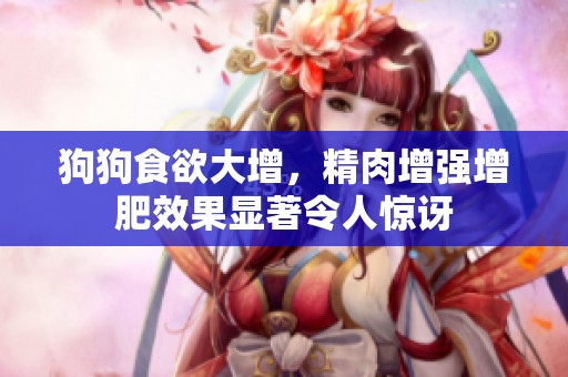 狗狗食欲大增，精肉增强增肥效果显著令人惊讶