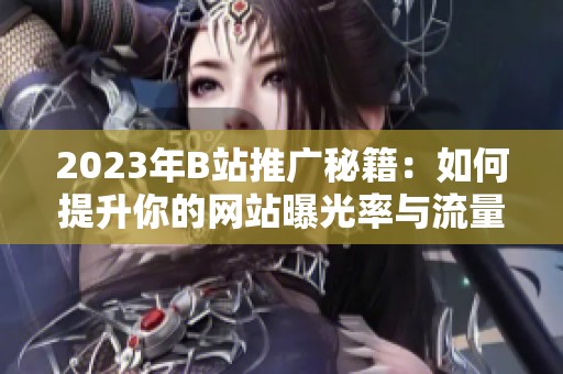 2023年B站推广秘籍：如何提升你的网站曝光率与流量