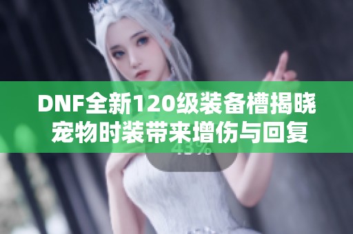 DNF全新120级装备槽揭晓 宠物时装带来增伤与回复新体验