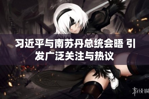 习近平与南苏丹总统会晤 引发广泛关注与热议
