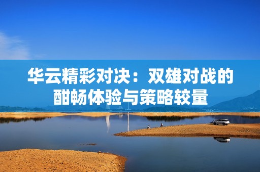 华云精彩对决：双雄对战的酣畅体验与策略较量