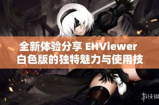 全新体验分享 EHViewer 白色版的独特魅力与使用技巧