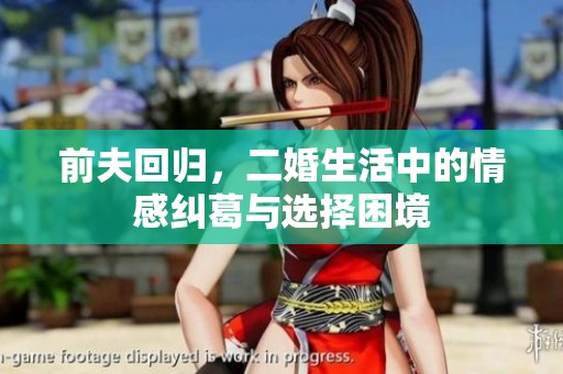前夫回归，二婚生活中的情感纠葛与选择困境
