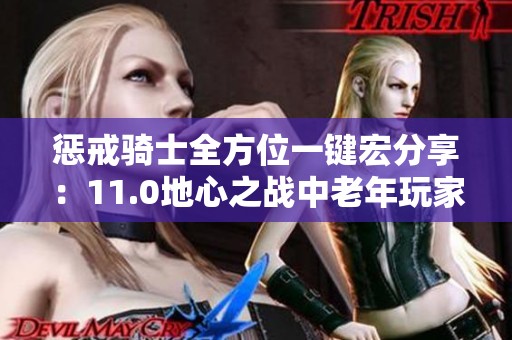 惩戒骑士全方位一键宏分享：11.0地心之战中老年玩家必备指南