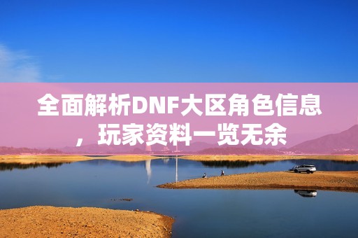 全面解析DNF大区角色信息，玩家资料一览无余