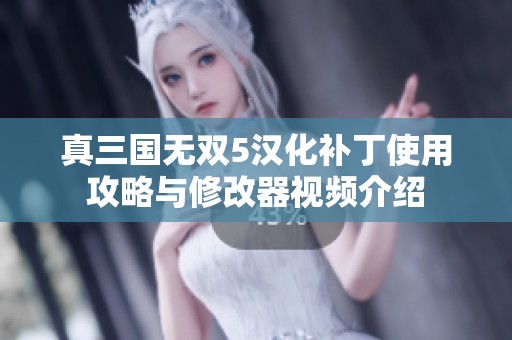 真三国无双5汉化补丁使用攻略与修改器视频介绍