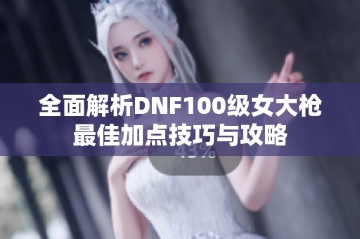 全面解析DNF100级女大枪最佳加点技巧与攻略