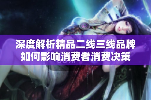 深度解析精品二线三线品牌如何影响消费者消费决策