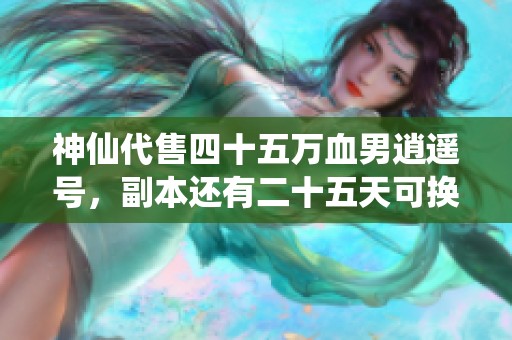 神仙代售四十五万血男逍遥号，副本还有二十五天可换绑一切