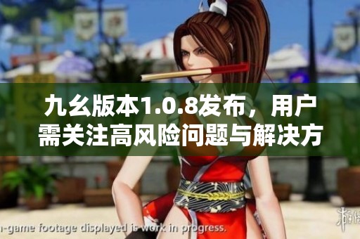 九幺版本1.0.8发布，用户需关注高风险问题与解决方案