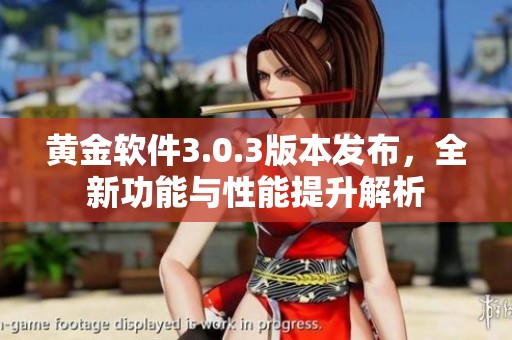 黄金软件3.0.3版本发布，全新功能与性能提升解析