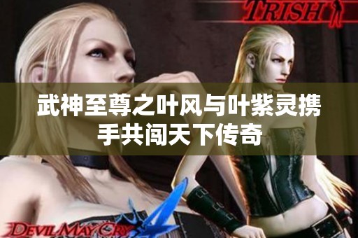 武神至尊之叶风与叶紫灵携手共闯天下传奇