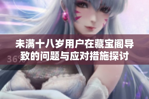 未满十八岁用户在藏宝阁导致的问题与应对措施探讨