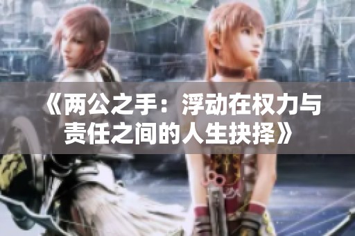 《两公之手：浮动在权力与责任之间的人生抉择》