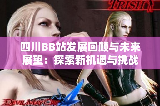四川BB站发展回顾与未来展望：探索新机遇与挑战