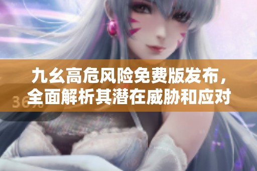 九幺高危风险免费版发布，全面解析其潜在威胁和应对策略