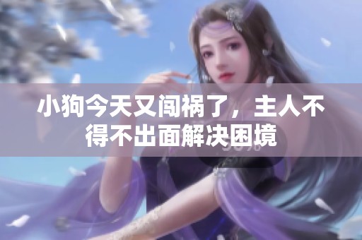 小狗今天又闯祸了，主人不得不出面解决困境