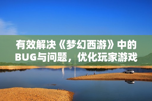 有效解决《梦幻西游》中的BUG与问题，优化玩家游戏体验