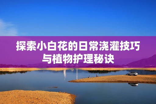 探索小白花的日常浇灌技巧与植物护理秘诀