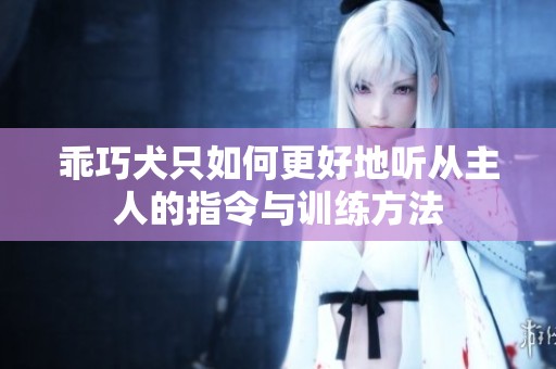 乖巧犬只如何更好地听从主人的指令与训练方法