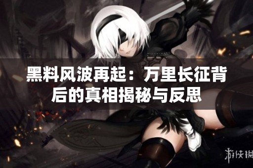 黑料风波再起：万里长征背后的真相揭秘与反思