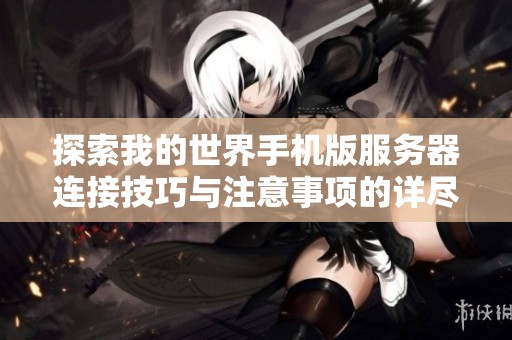 探索我的世界手机版服务器连接技巧与注意事项的详尽指南