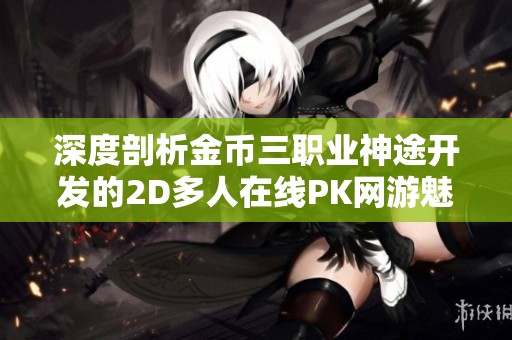 深度剖析金币三职业神途开发的2D多人在线PK网游魅力与特色