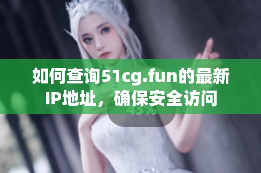 如何查询51cg.fun的最新IP地址，确保安全访问