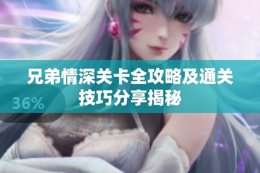 兄弟情深关卡全攻略及通关技巧分享揭秘