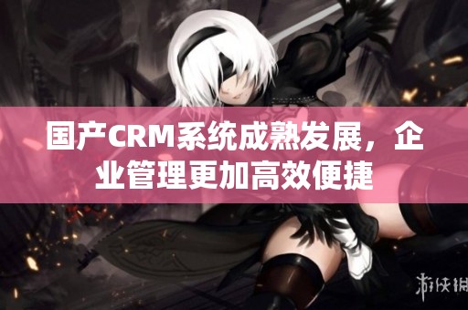 国产CRM系统成熟发展，企业管理更加高效便捷