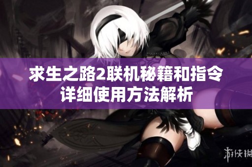 求生之路2联机秘籍和指令详细使用方法解析