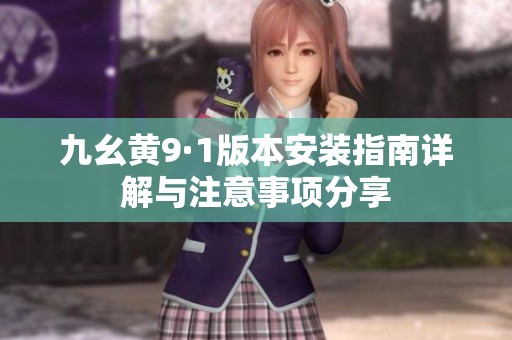 九幺黄9·1版本安装指南详解与注意事项分享