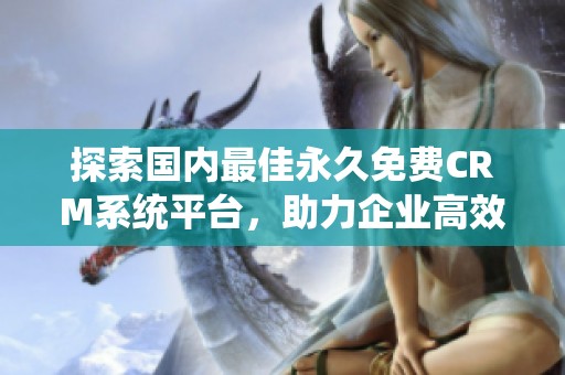 探索国内最佳永久免费CRM系统平台，助力企业高效管理客户资源