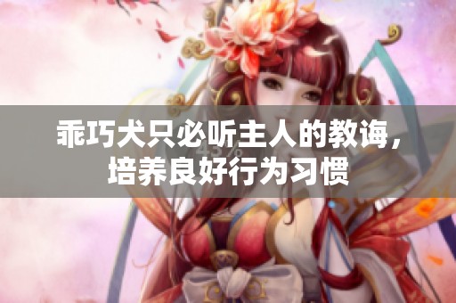 乖巧犬只必听主人的教诲，培养良好行为习惯