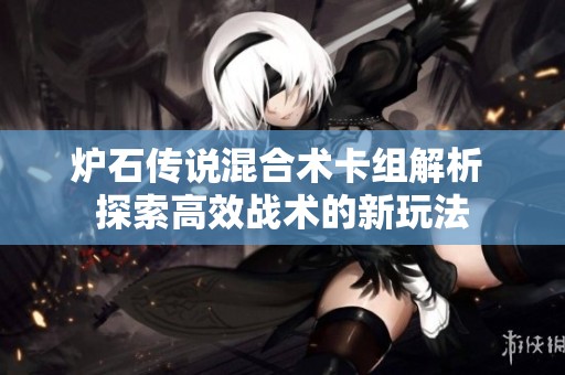炉石传说混合术卡组解析 探索高效战术的新玩法