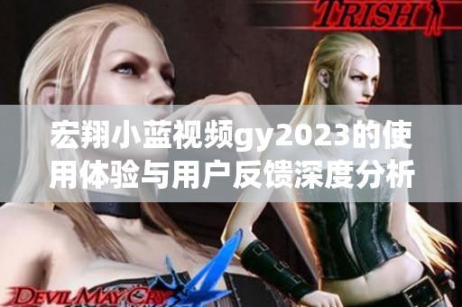 宏翔小蓝视频gy2023的使用体验与用户反馈深度分析