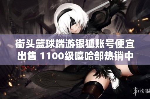 街头篮球端游银狐账号便宜出售 1100级嘻哈部热销中