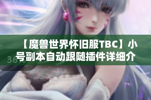【魔兽世界怀旧服TBC】小号副本自动跟随插件详细介绍与使用指南