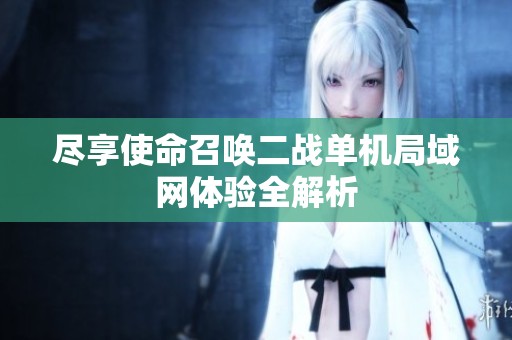 尽享使命召唤二战单机局域网体验全解析