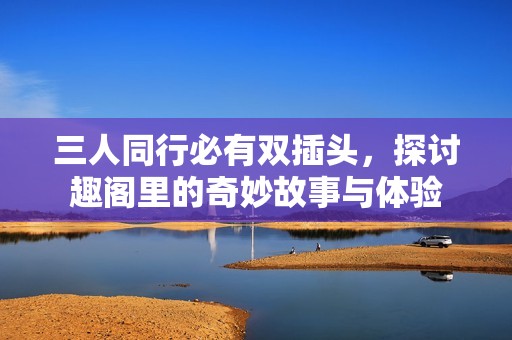 三人同行必有双插头，探讨趣阁里的奇妙故事与体验