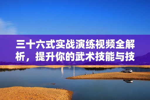 三十六式实战演练视频全解析，提升你的武术技能与技巧